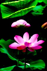 736C386D-D507-428E-8236-044F7D0DCEC4/L0/001