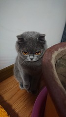 1226451