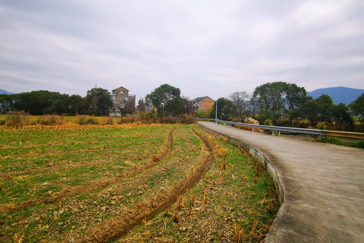 台州的乡村风景