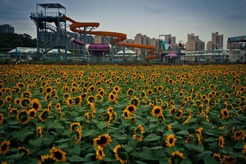 IMG_2926.jpg