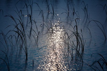 IMG_7104.jpg