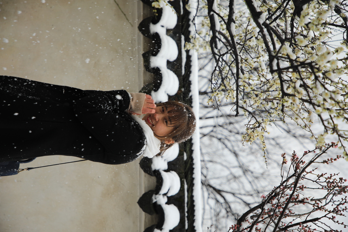 苏州园林虎丘雪美女
