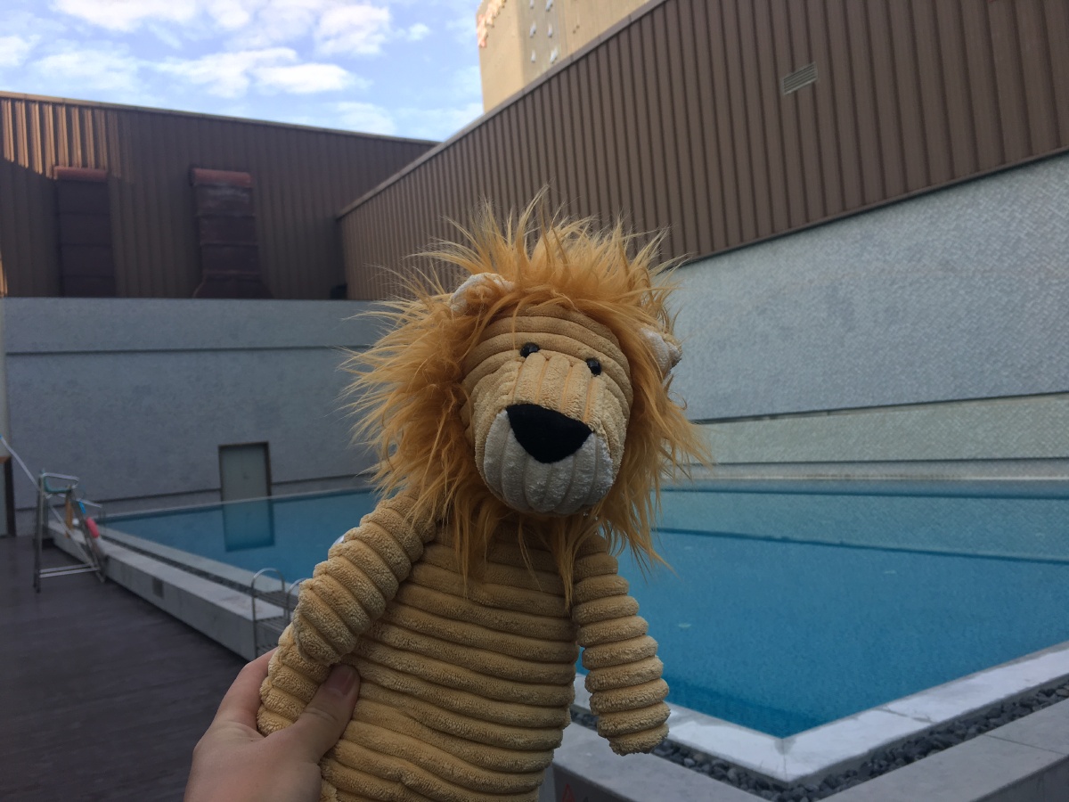 我陪jellycat小狮子吃早饭 - 苏州园林酱油醋 - 图虫