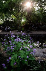 DSC_0002.jpg