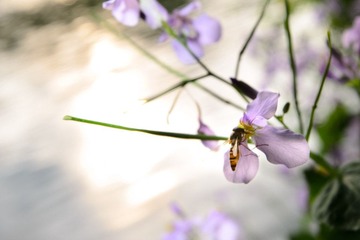 DSC_0020.jpg
