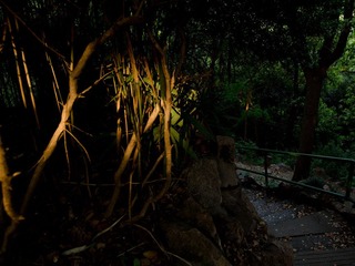 DSC_0048.jpg