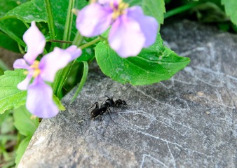 DSC_0062.jpg