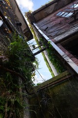 DSC_0694.jpg