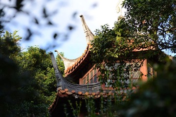 DSC_0722.jpg