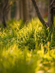 DSC_0726.jpg