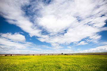 QHH_20130727_276.jpg