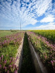 QHH_20130727_353.jpg
