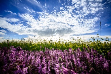 QHH_20130727_359.jpg