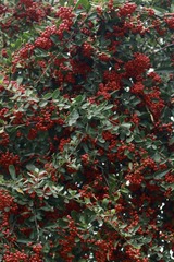 7C94F07D-7DD9-4E5B-AA57-4582E0CC38F2/L0/001