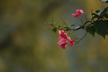 3453BF91-1A10-482C-83DB-F0BD858F1E82/L0/001