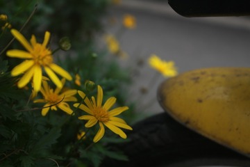 E878FE5C-0E5F-4D3D-AD88-2820DABD910B/L0/001