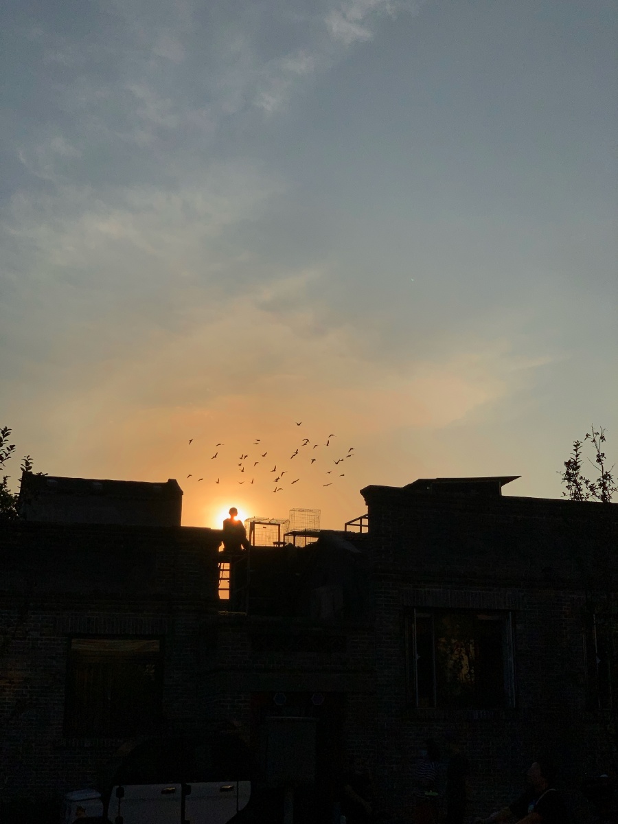 放鸽人 - 燕云客 - 图虫