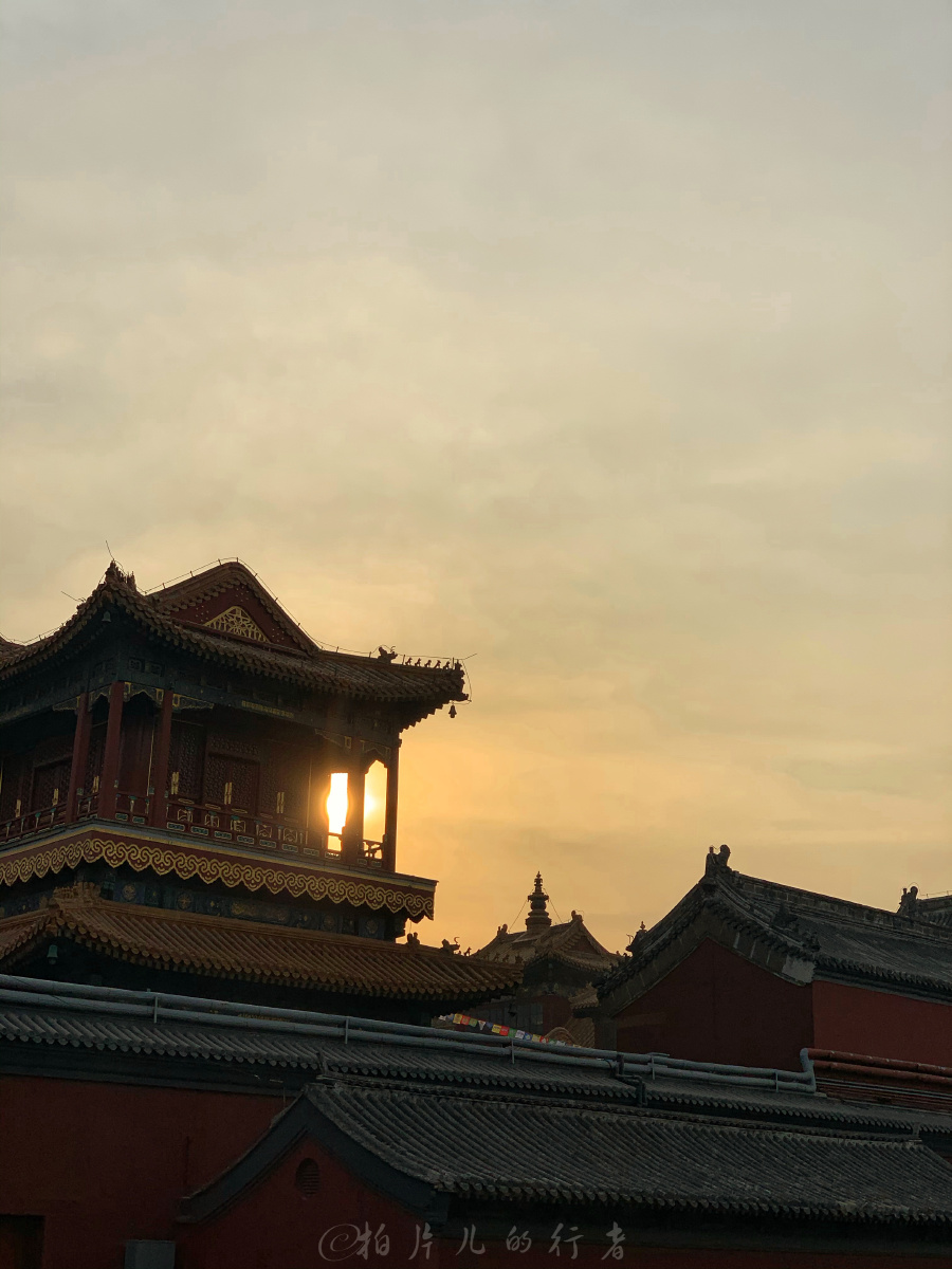 大清早的,拍出黄昏的感觉了…… - 燕云客 - 图虫