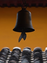 F29D55D9-1C46-48B6-8086-92B7E23FB8DC/L0/001