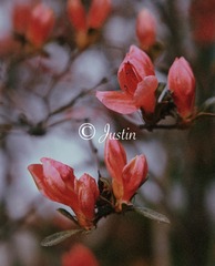 8F3B827B-F7AF-475F-AFEC-87A66A75D7A8/L0/001