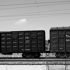 1000165649