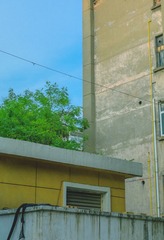 3234553