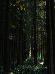 3463425
