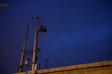 1000012458