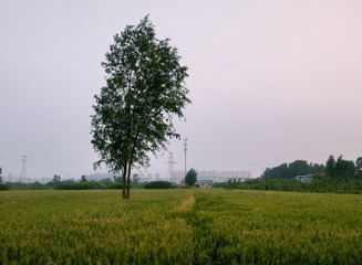 3364741