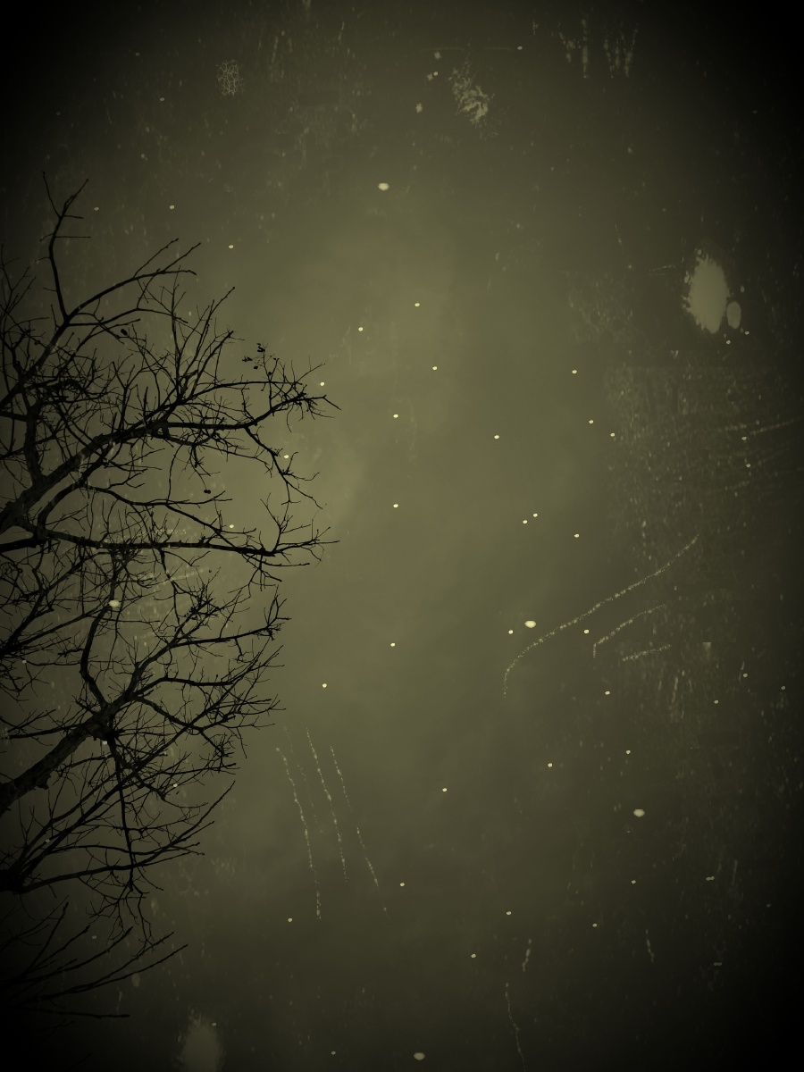 仿佛黑夜中的一棵树在诉说着星沉大海