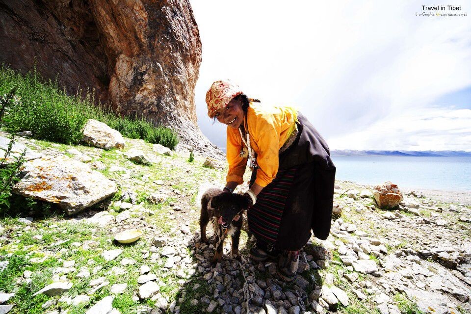 藏族老奶奶<br />
老奶奶和他的小狗