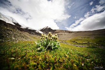 IMG_2240.jpg