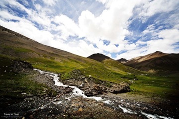 IMG_2284.jpg