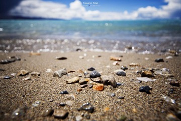 IMG_2817.jpg