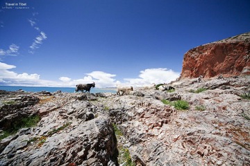 IMG_2864.jpg