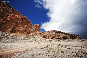 IMG_2887.jpg