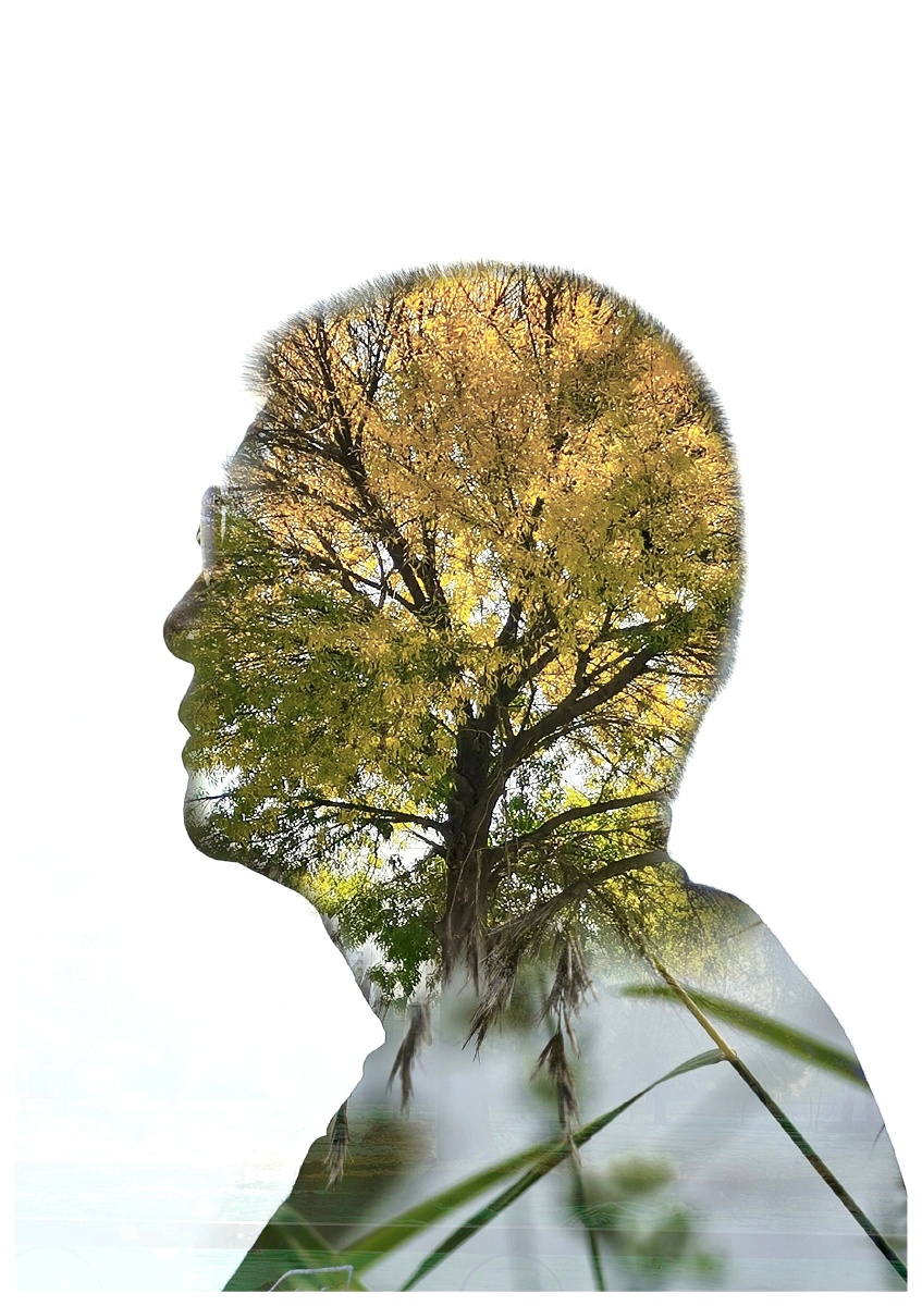 树的杆枝就像人的经络一样.