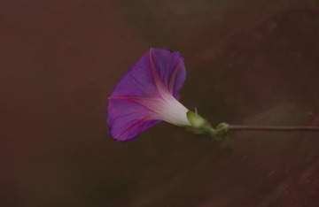 120782
