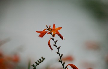 108628