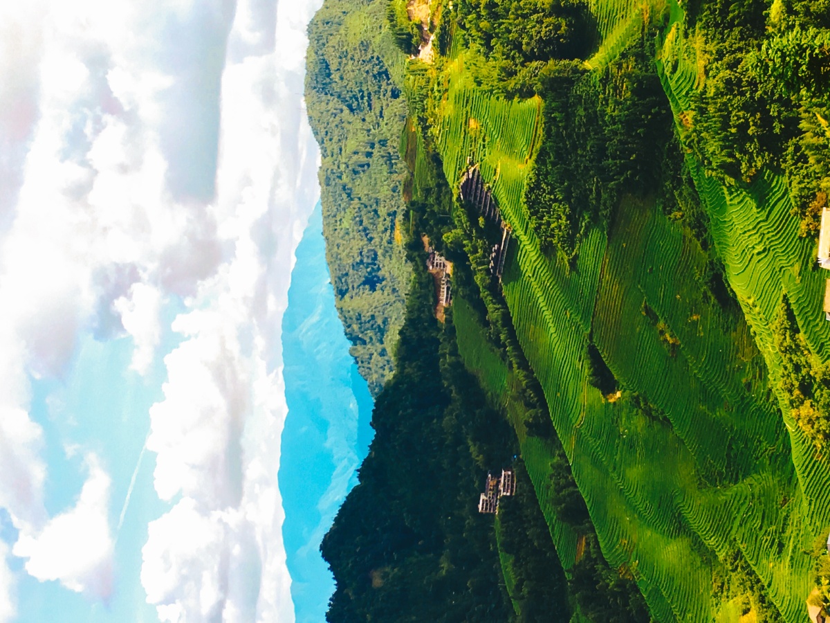 可乐旅游机票研学