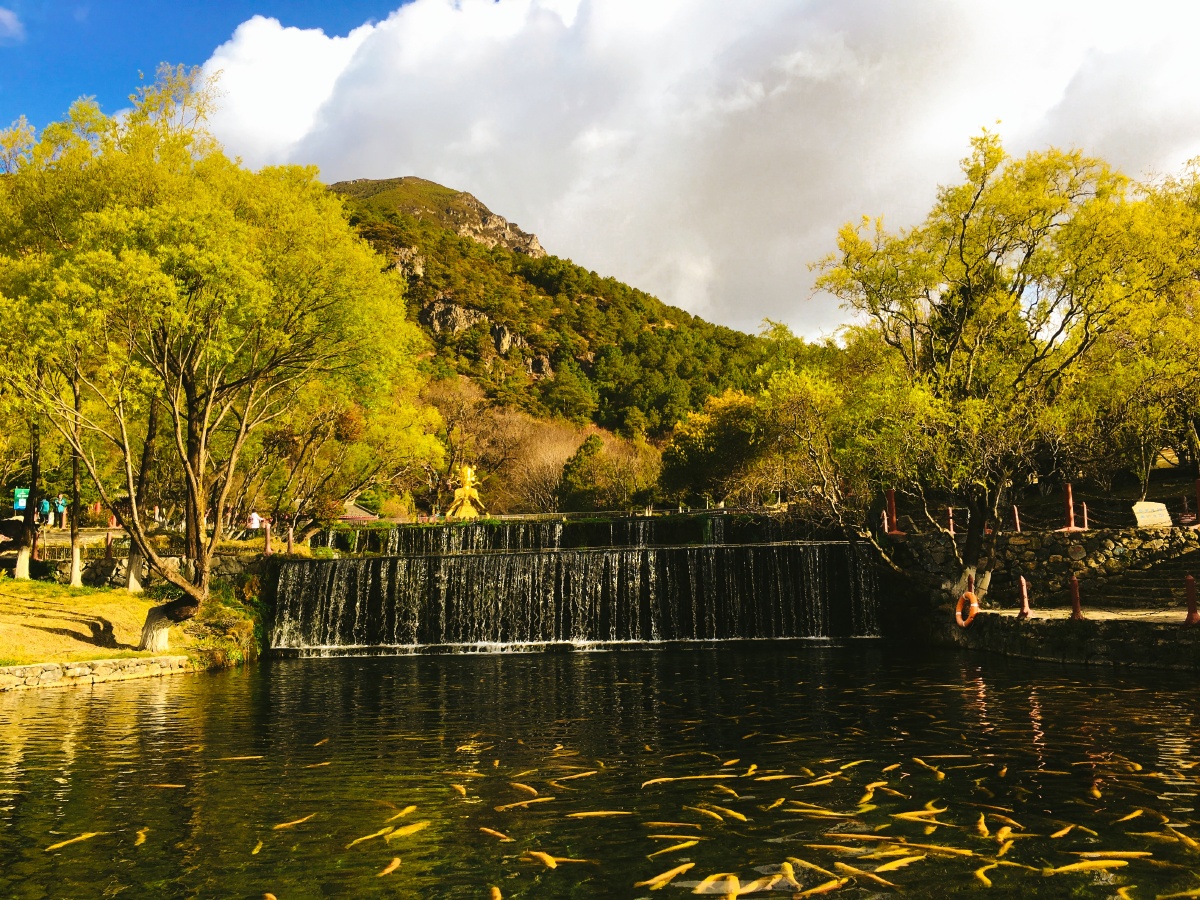 可乐旅游机票研学