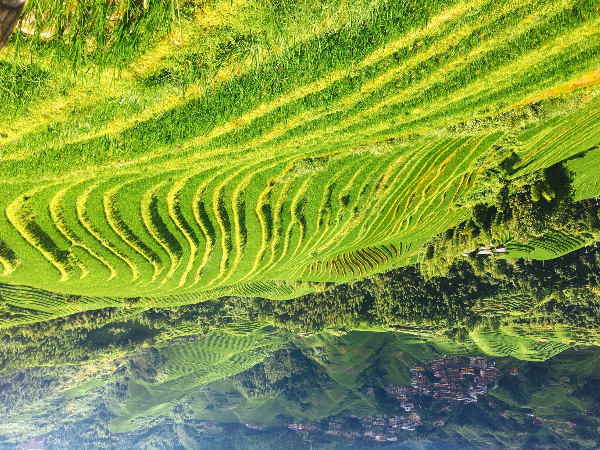 可乐旅游机票研学