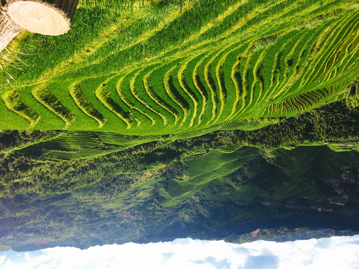 可乐旅游机票研学