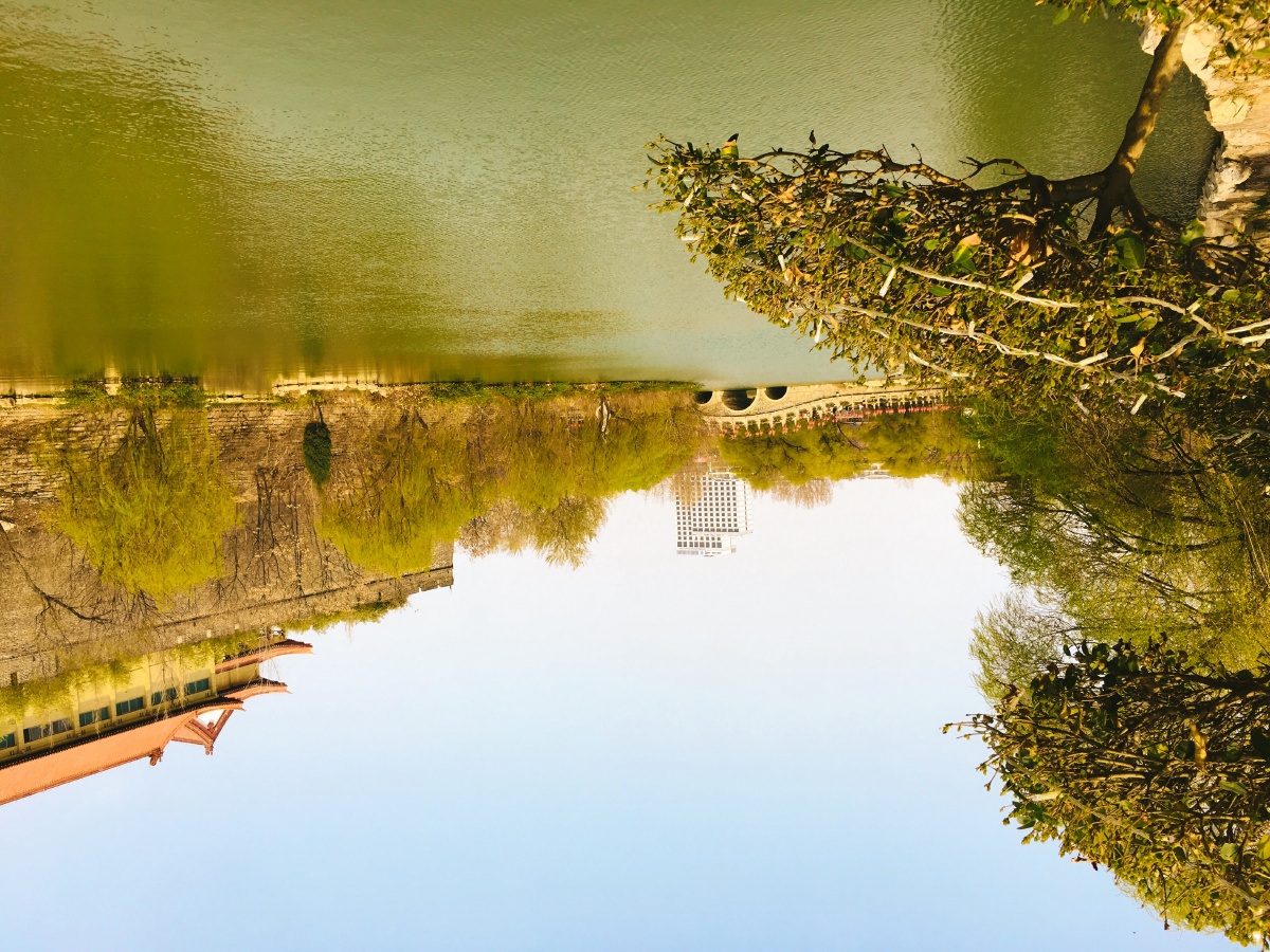 可乐旅游机票研学