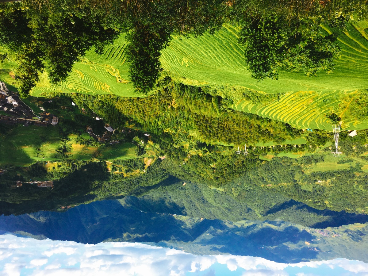 可乐旅游机票研学