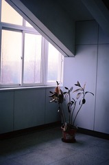上海南翔站