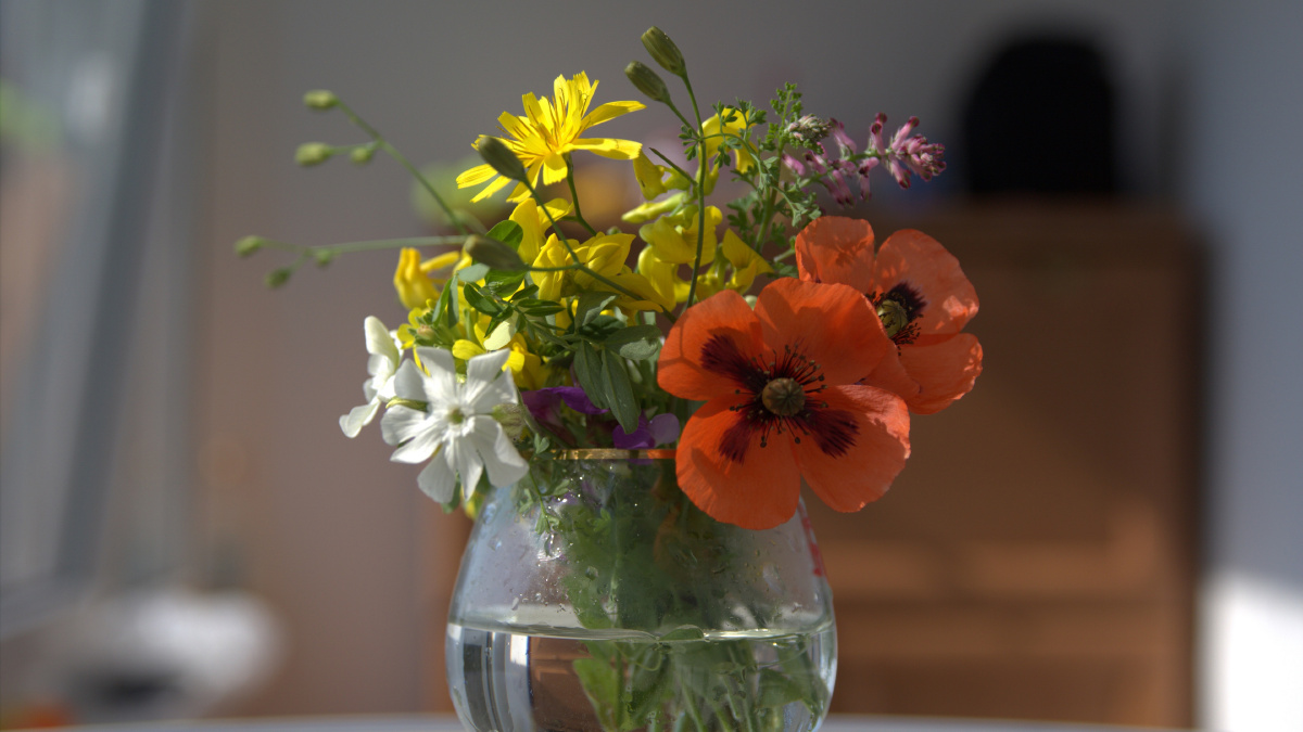 花瓶鲜花插花照片