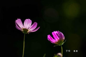1318214