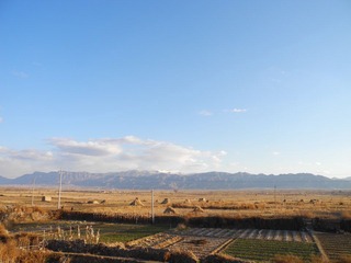 DSCN6544.JPG