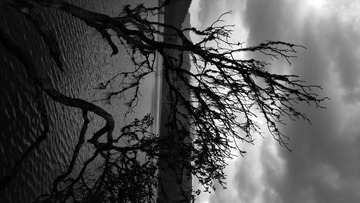 _1080790-p.jpg